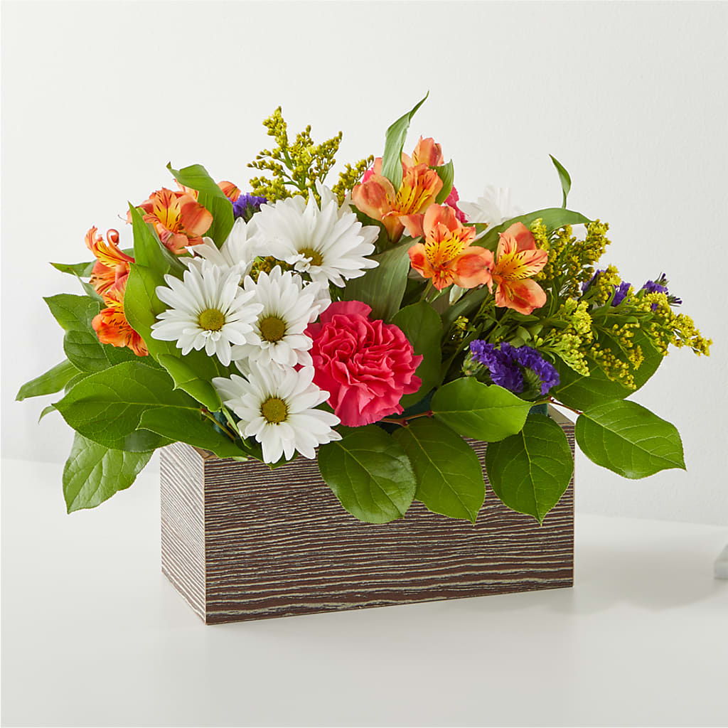 Oopsie Daisy Box Bouquet – LOU GENTILE'S FLOWERS BASKET, Fresno CA