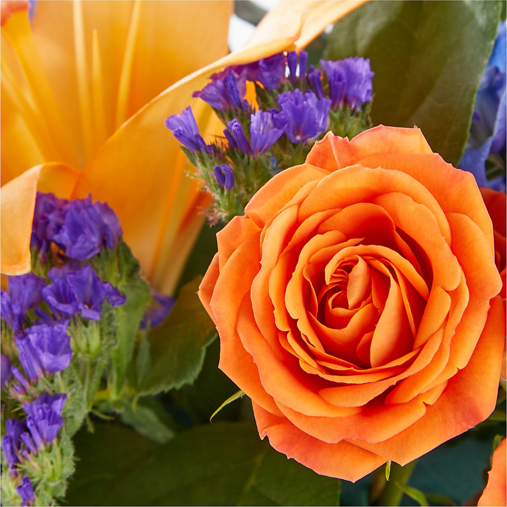 Radiant Citrus Box Bouquet – LOU GENTILE'S FLOWERS BASKET, Fresno CA