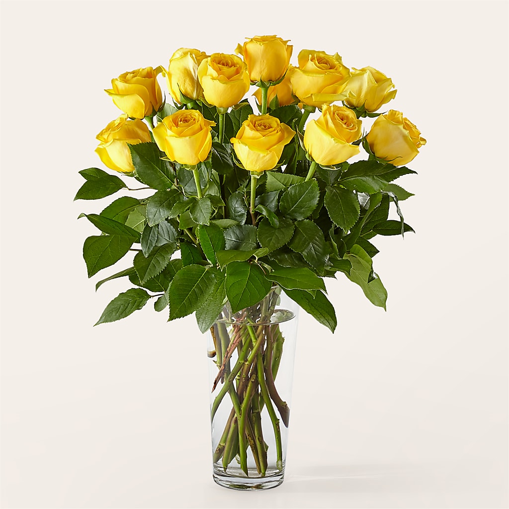Long Stem Yellow Rose Bouquet – LOU GENTILE'S FLOWERS BASKET, Fresno CA