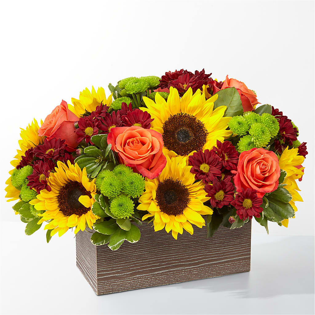 Happy Harvest Garden – LOU GENTILE'S FLOWERS BASKET, Fresno CA