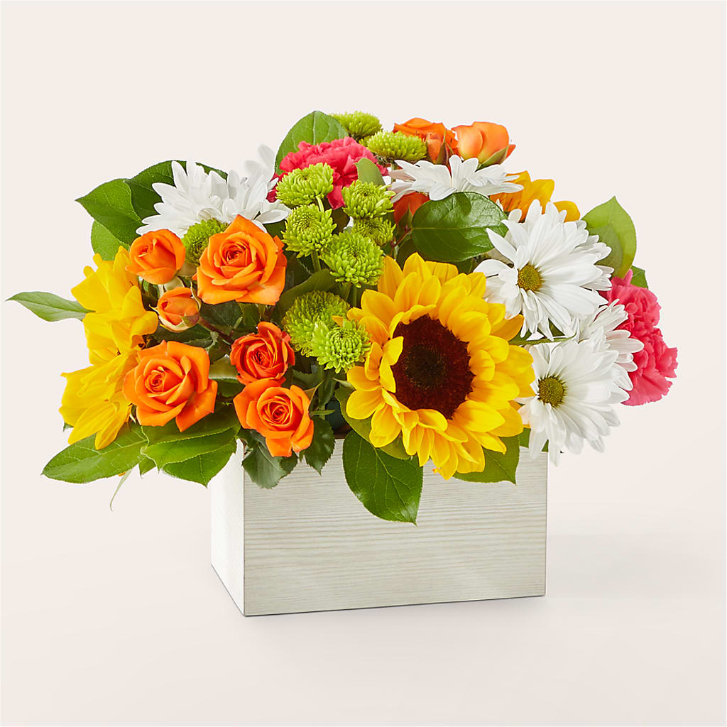 Sun-drenched Blooms Box Bouquet – LOU GENTILE'S FLOWERS BASKET, Fresno CA