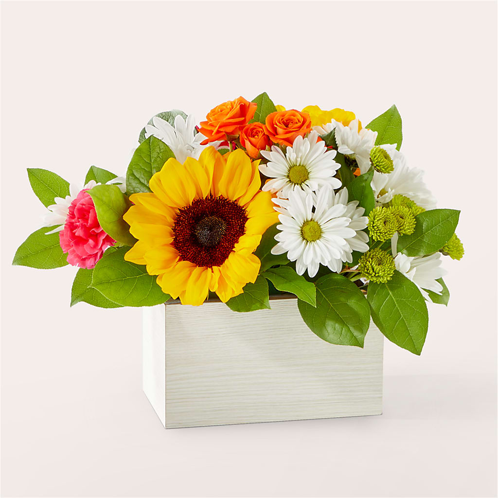 Sun-drenched Blooms Box Bouquet – LOU GENTILE'S FLOWERS BASKET, Fresno CA
