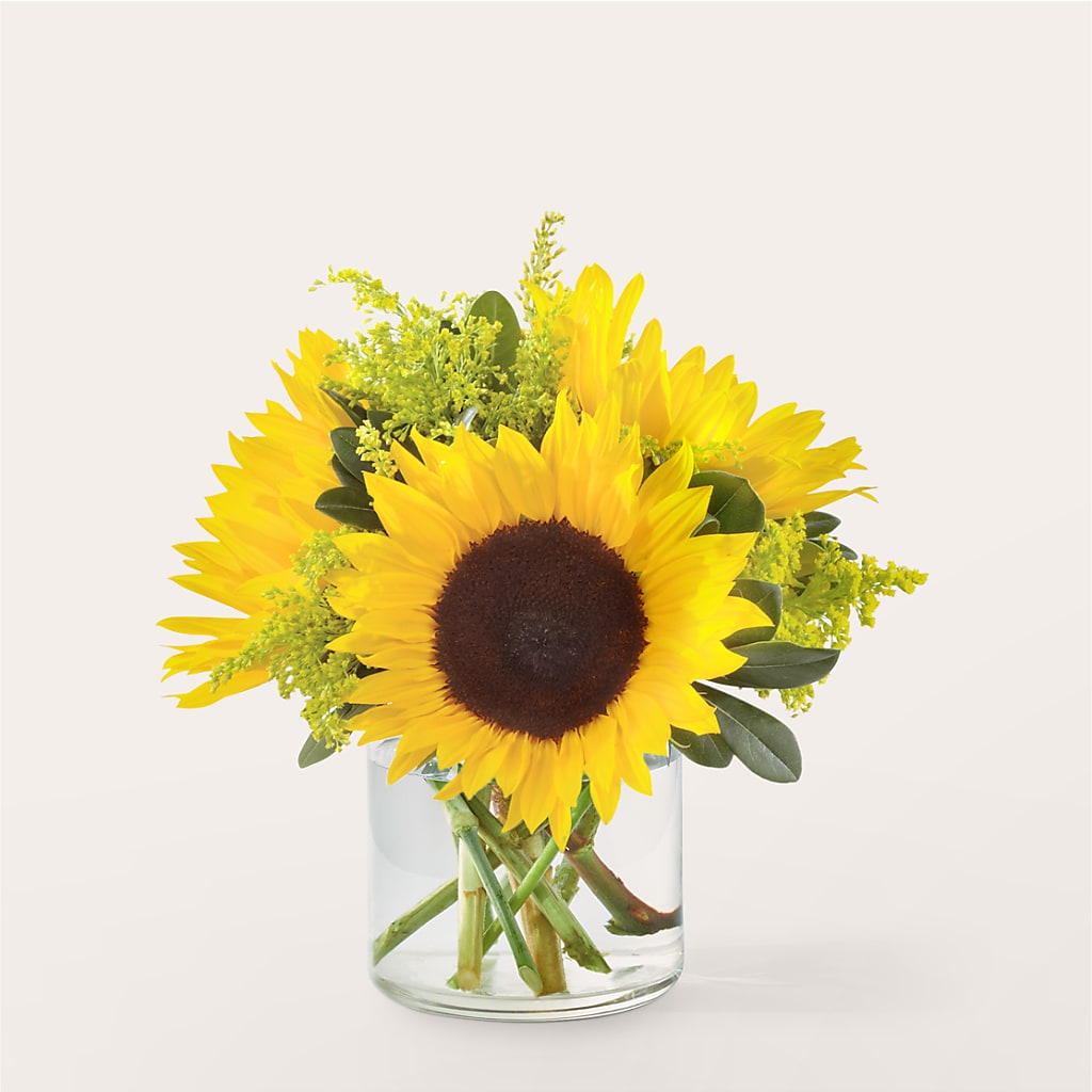 Beaming Sunflower Bouquet – LOU GENTILE'S FLOWERS BASKET, Fresno CA