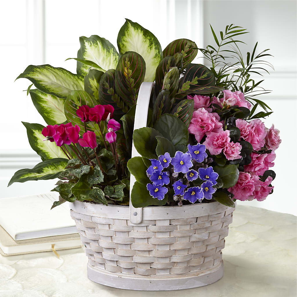 Peaceful Garden Planter – LOU GENTILE'S FLOWERS BASKET, Fresno CA