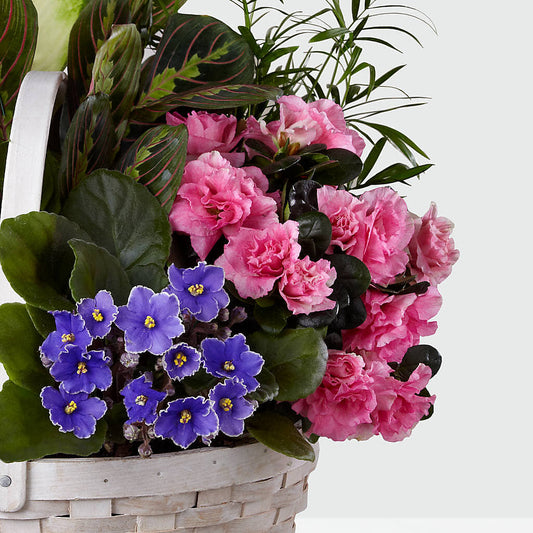 Peaceful Garden Planter – LOU GENTILE'S FLOWERS BASKET, Fresno CA