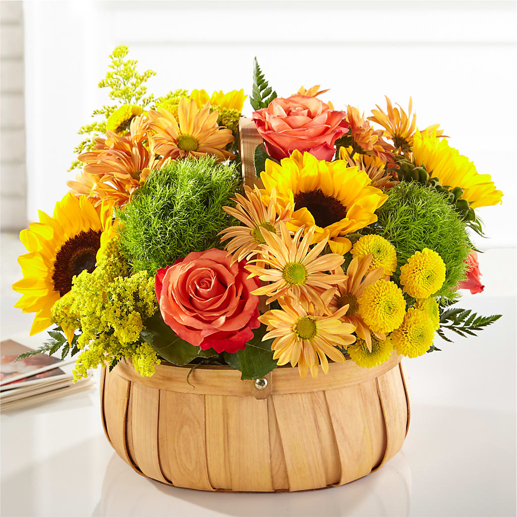 Harvest Sunflower Basket – LOU GENTILE'S FLOWERS BASKET, Fresno CA