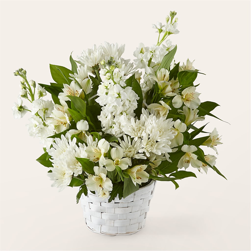 Eternal Affection Arrangement – LOU GENTILE'S FLOWERS BASKET, Fresno CA