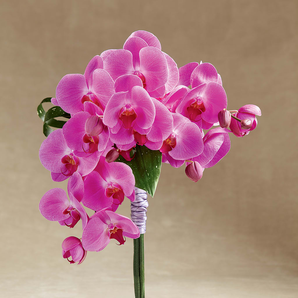 Glorious Bouquet – LOU GENTILE'S FLOWERS BASKET, Fresno CA