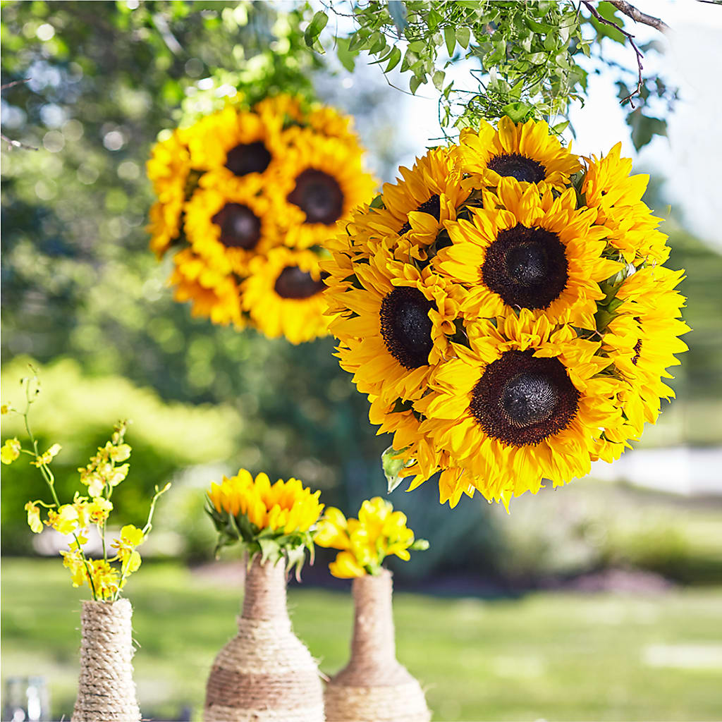 Sublime Garden Hanging Arrangement – LOU GENTILE'S FLOWERS BASKET, Fresno CA