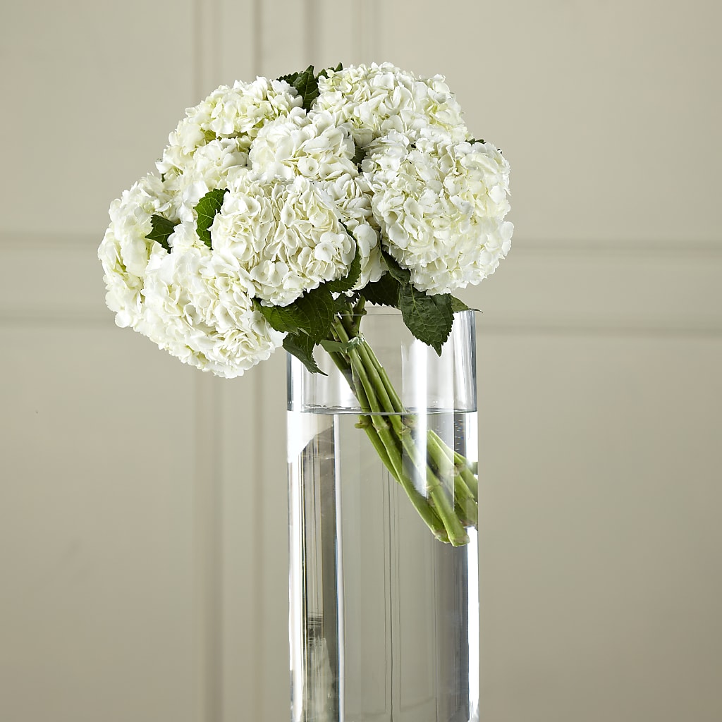 White Hydrangea Hand-Tied Bouquet – LOU GENTILE'S FLOWERS BASKET, Fresno CA