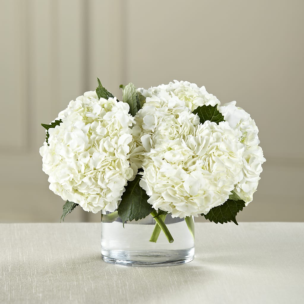 White Hydrangea Bouquet – LOU GENTILE'S FLOWERS BASKET, Fresno CA