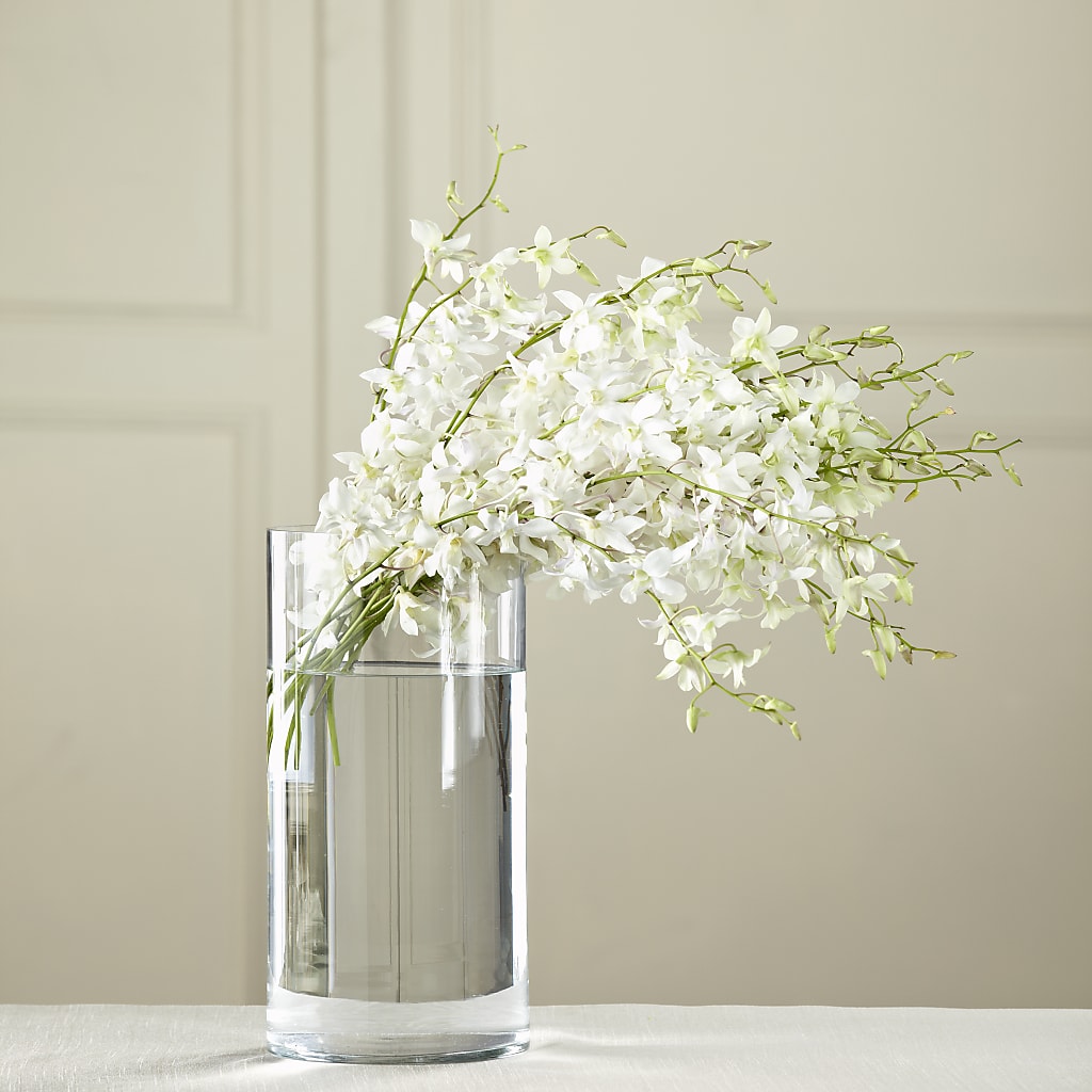 White Dendrobium Bouquet – LOU GENTILE'S FLOWERS BASKET, Fresno CA