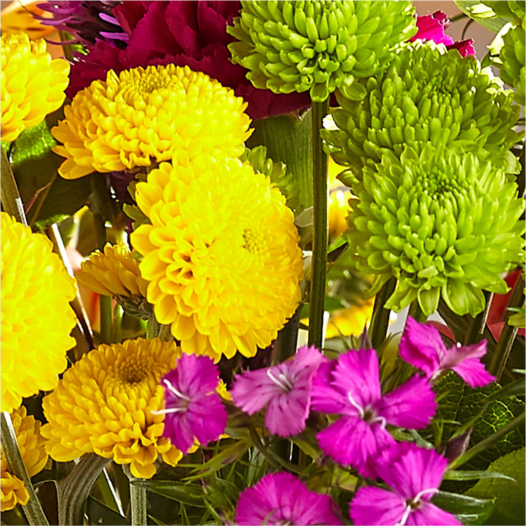 Bold & Bright – A Florist Original – LOU GENTILE'S FLOWERS BASKET, Fresno CA