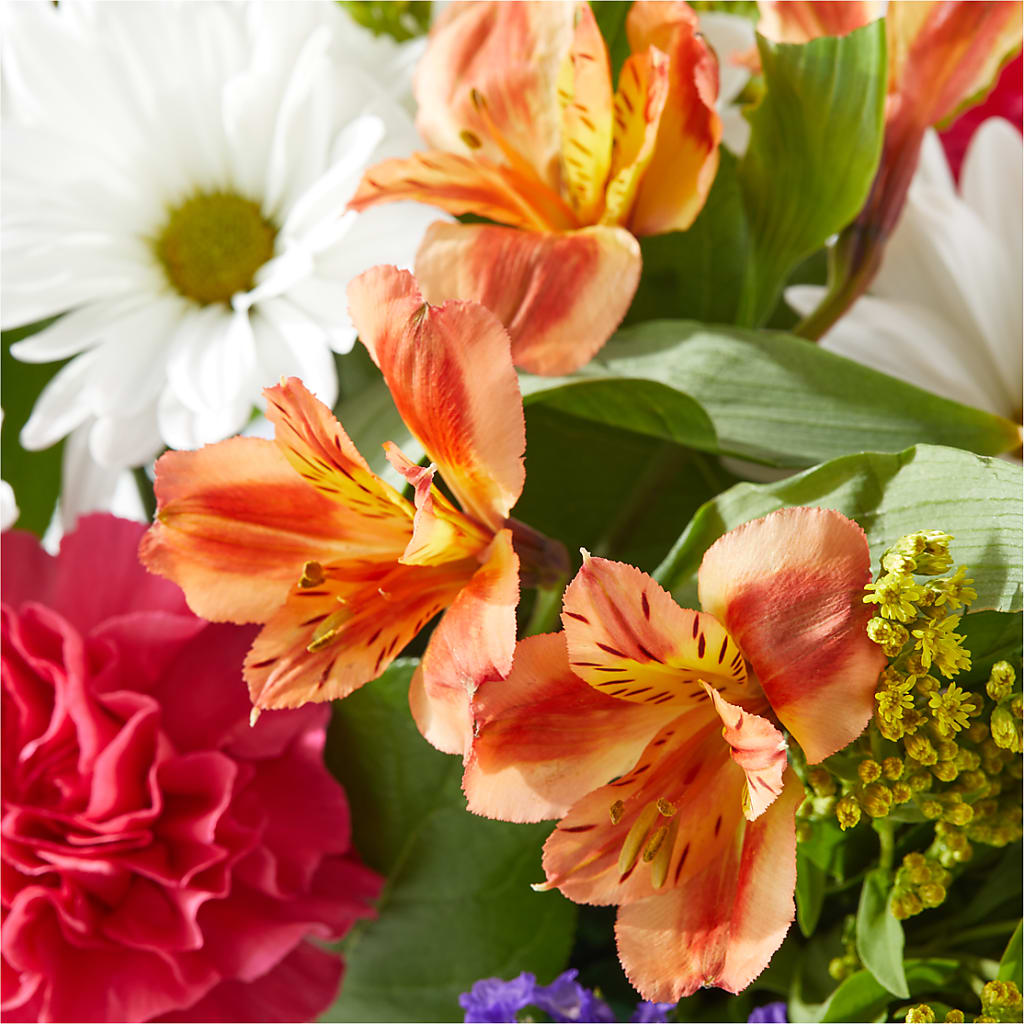 Oopsie Daisy Box Bouquet – LOU GENTILE'S FLOWERS BASKET, Fresno CA