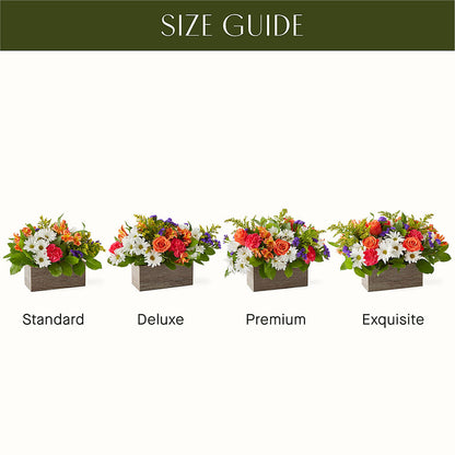Oopsie Daisy Box Bouquet – LOU GENTILE'S FLOWERS BASKET, Fresno CA