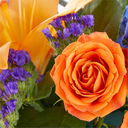 Radiant Citrus Box Bouquet – LOU GENTILE'S FLOWERS BASKET, Fresno CA