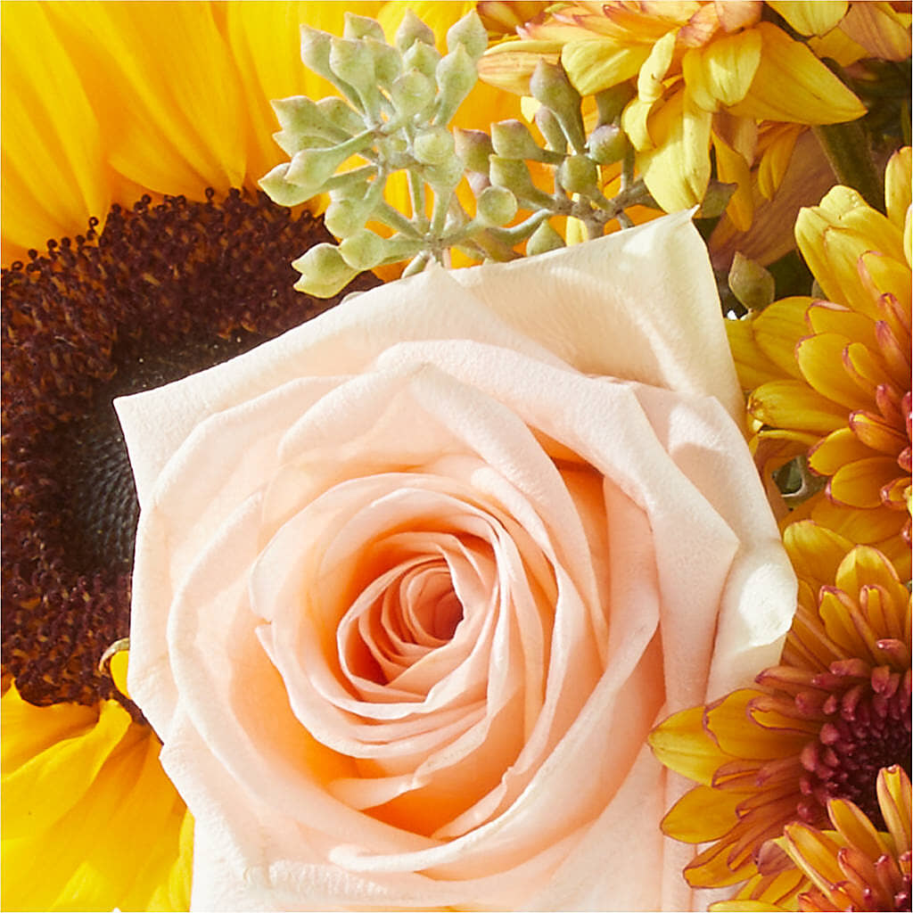 Pumpkin to Talk About Bouquet – LOU GENTILE'S FLOWERS BASKET, Fresno CA