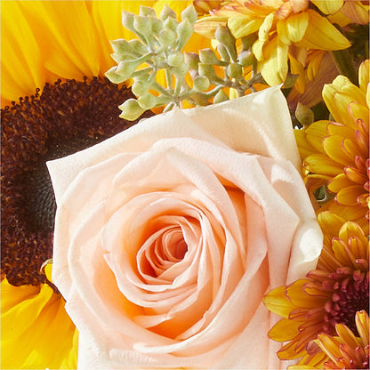 Pumpkin to Talk About Bouquet – LOU GENTILE'S FLOWERS BASKET, Fresno CA