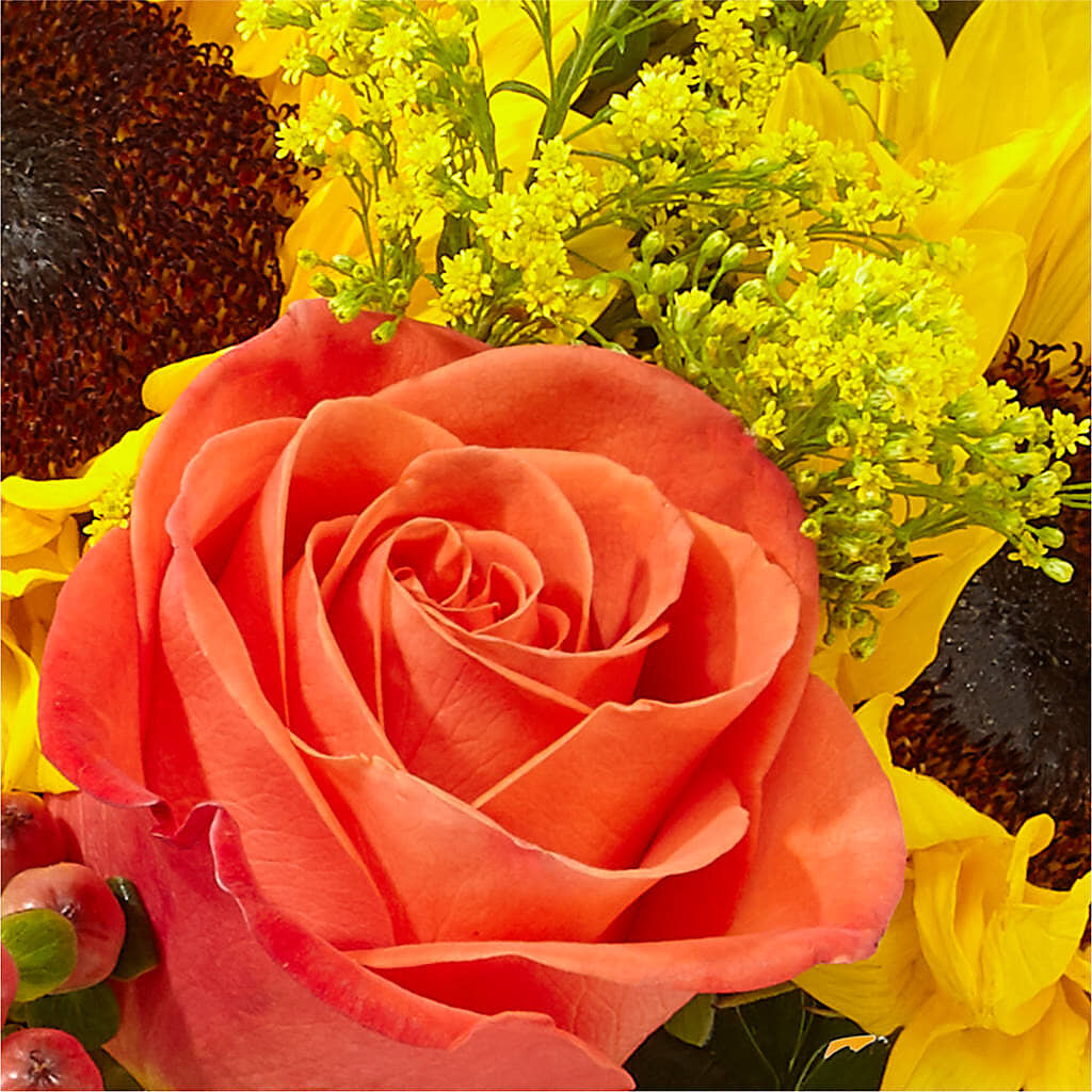 Pick of the Patch Pumpkin Bouquet – LOU GENTILE'S FLOWERS BASKET, Fresno CA