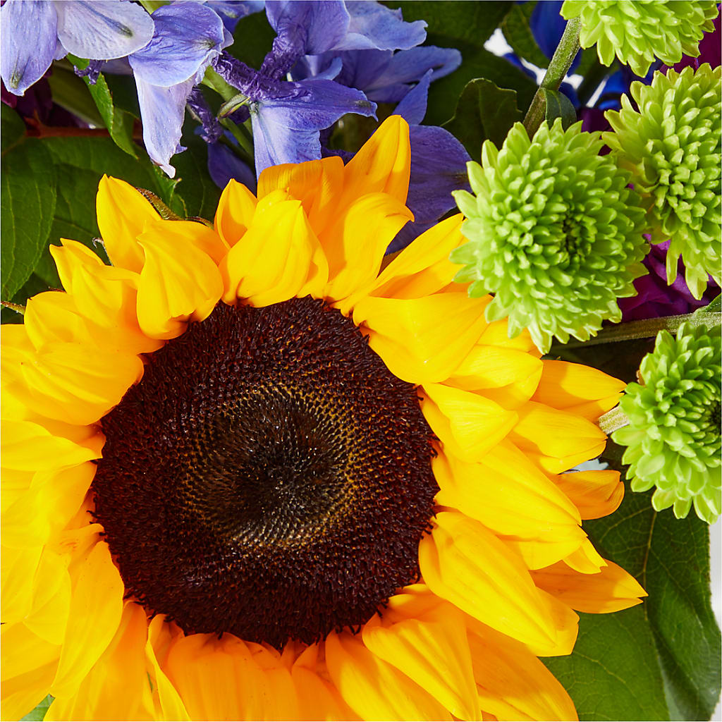Catching Rays Bouquet – LOU GENTILE'S FLOWERS BASKET, Fresno CA