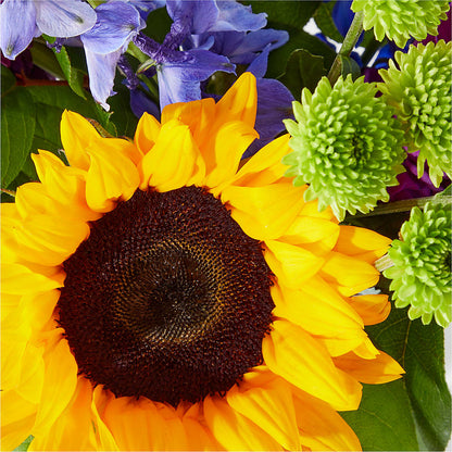 Catching Rays Bouquet – LOU GENTILE'S FLOWERS BASKET, Fresno CA