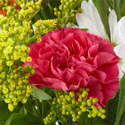 Oopsie Daisy Bouquet – LOU GENTILE'S FLOWERS BASKET, Fresno CA