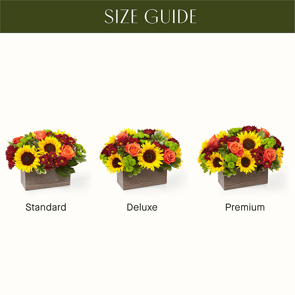 Happy Harvest Garden – LOU GENTILE'S FLOWERS BASKET, Fresno CA