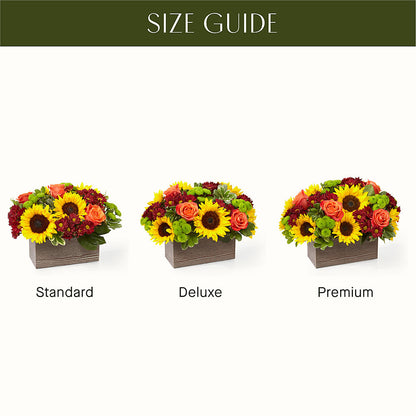 Happy Harvest Garden – LOU GENTILE'S FLOWERS BASKET, Fresno CA