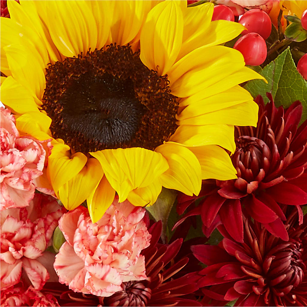 Fresh Cider Bouquet – LOU GENTILE'S FLOWERS BASKET, Fresno CA