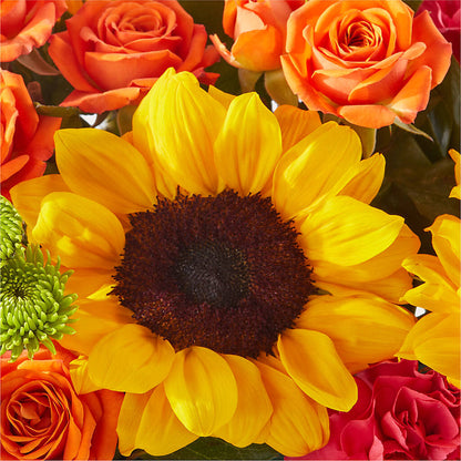 Sun-drenched Blooms Box Bouquet – LOU GENTILE'S FLOWERS BASKET, Fresno CA