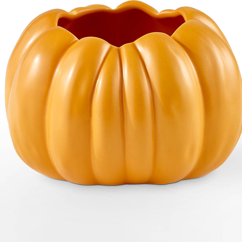 Pick of the Patch Pumpkin Bouquet – LOU GENTILE'S FLOWERS BASKET, Fresno CA