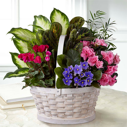 Peaceful Garden Planter – LOU GENTILE'S FLOWERS BASKET, Fresno CA