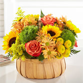 Lou Gentile's Flower Basket