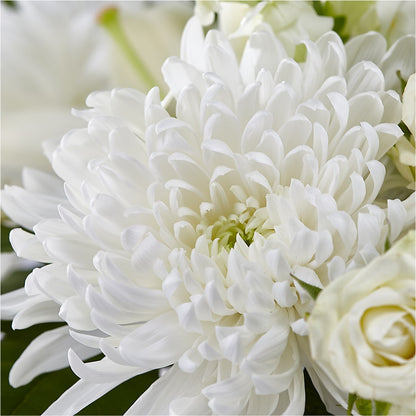 Classic Ivory – A Florist Original – LOU GENTILE'S FLOWERS BASKET, Fresno CA