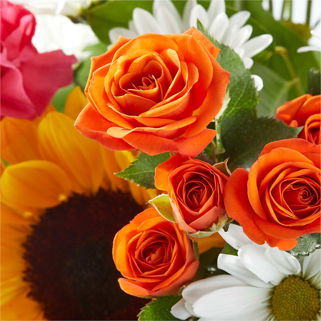 Sun-drenched Blooms Bouquet – LOU GENTILE'S FLOWERS BASKET, Fresno CA