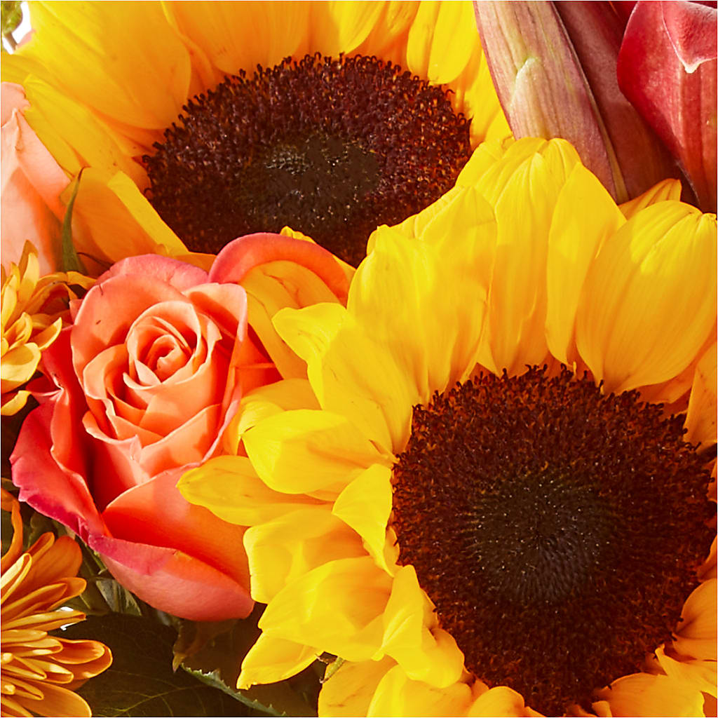 Acorn Lane Bouquet – LOU GENTILE'S FLOWERS BASKET, Fresno CA