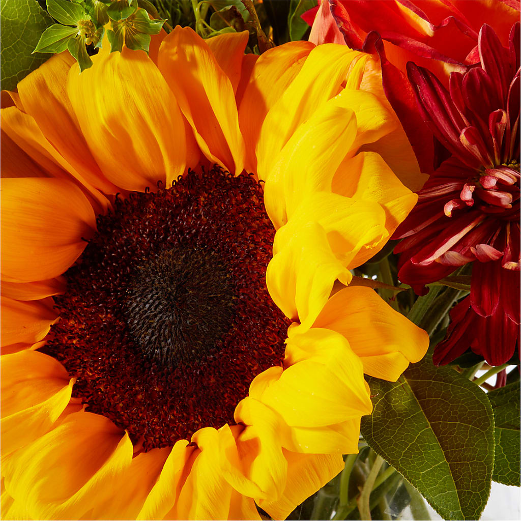 Harvest Festival Bouquet – LOU GENTILE'S FLOWERS BASKET, Fresno CA
