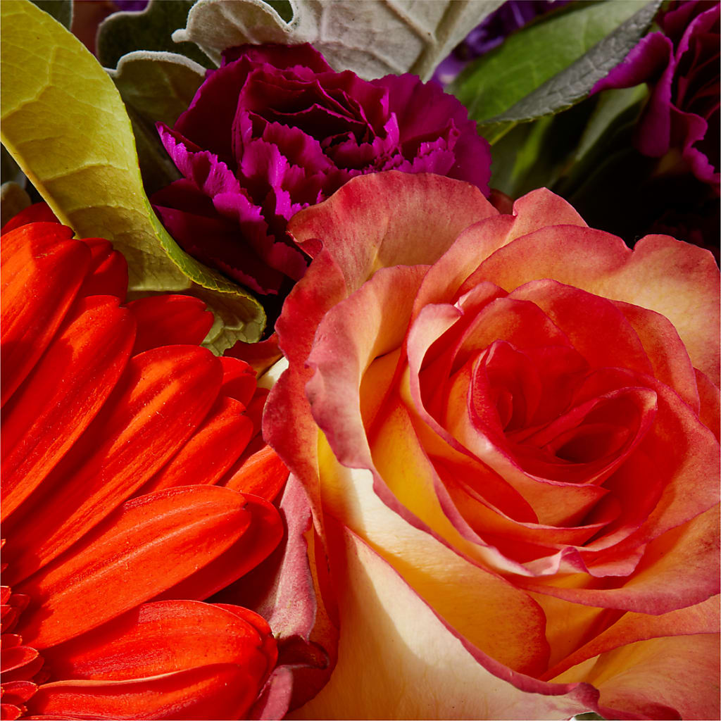 Sangria Bouquet – LOU GENTILE'S FLOWERS BASKET, Fresno CA
