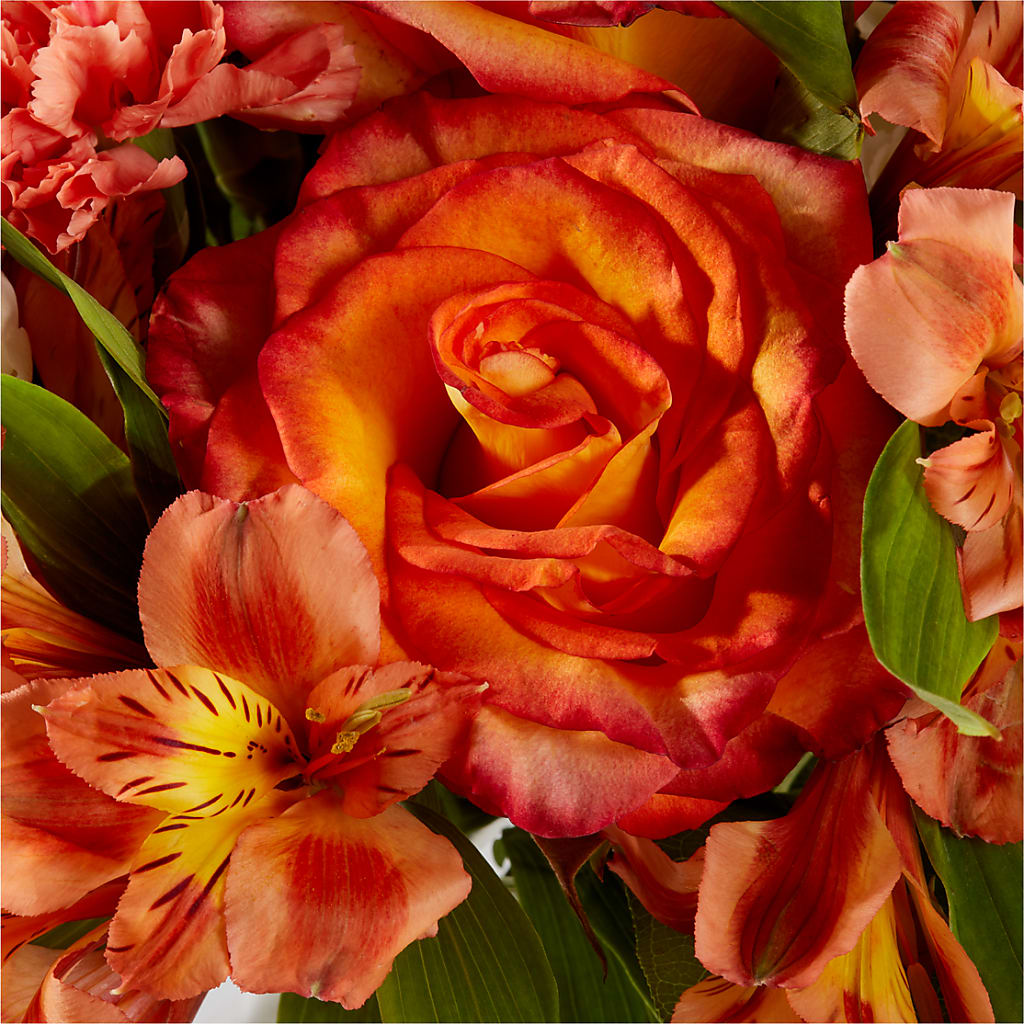 Apricot Glow Bouquet – LOU GENTILE'S FLOWERS BASKET, Fresno CA