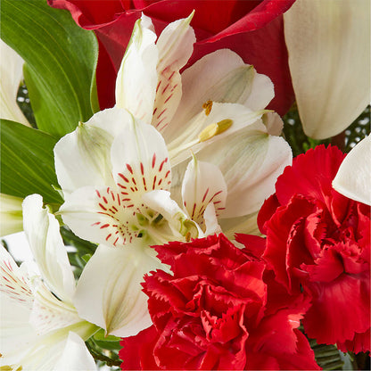 Holiday Season Bouquet – LOU GENTILE'S FLOWERS BASKET, Fresno CA
