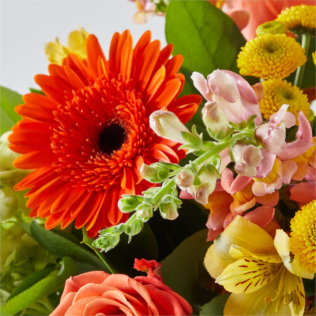 Autumn Sunshine Bouquet – LOU GENTILE'S FLOWERS BASKET, Fresno CA
