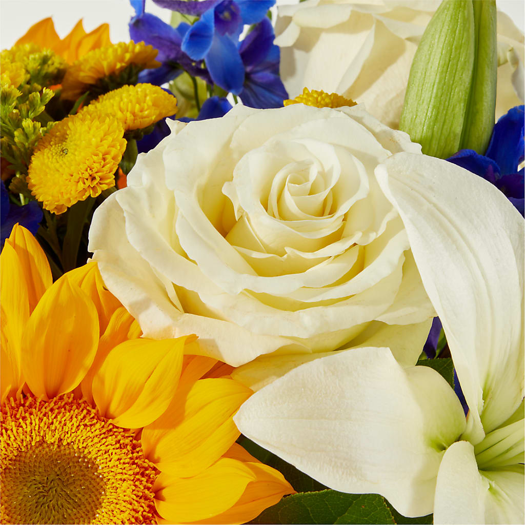 Stargazing Bouquet – LOU GENTILE'S FLOWERS BASKET, Fresno CA