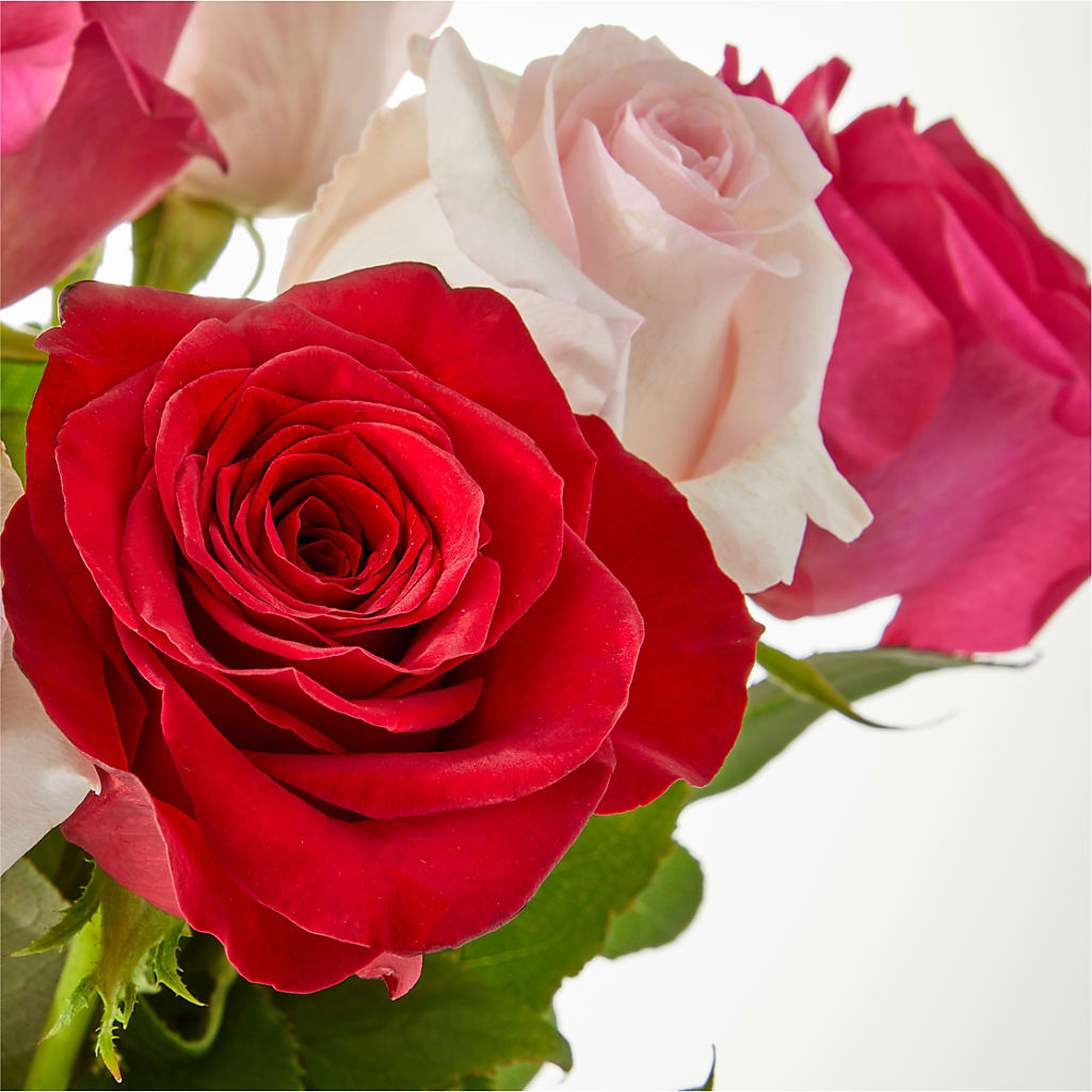 Charming Rose Bouquet – LOU GENTILE'S FLOWERS BASKET, Fresno CA