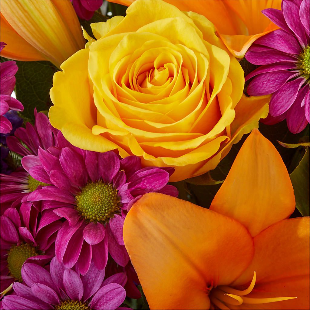 Colorful Visions Bouquet – LOU GENTILE'S FLOWERS BASKET, Fresno CA