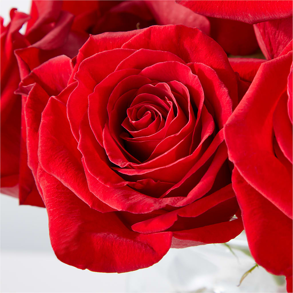 Cupid's Embrace Red Rose Bouquet – LOU GENTILE'S FLOWERS BASKET, Fresno CA