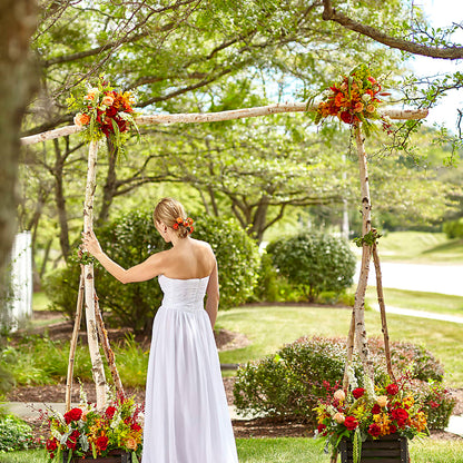 Arbor of Love Archway – LOU GENTILE'S FLOWERS BASKET, Fresno CA