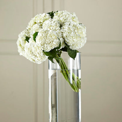 White Hydrangea Hand-Tied Bouquet – LOU GENTILE'S FLOWERS BASKET, Fresno CA