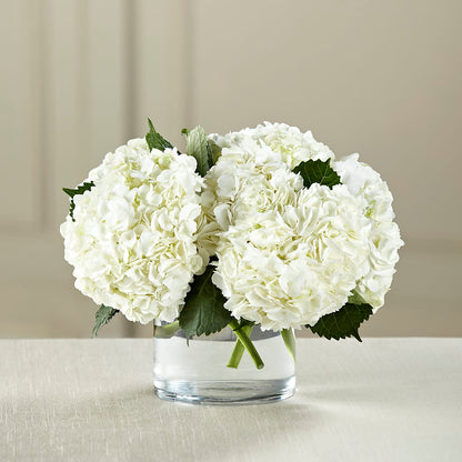 White Hydrangea Bouquet – LOU GENTILE'S FLOWERS BASKET, Fresno CA